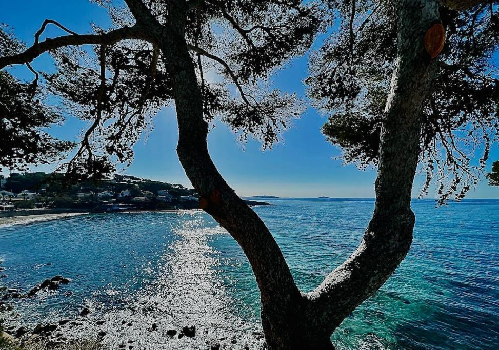 Apartamento Escapade Au Coeur De Sanary Exterior foto